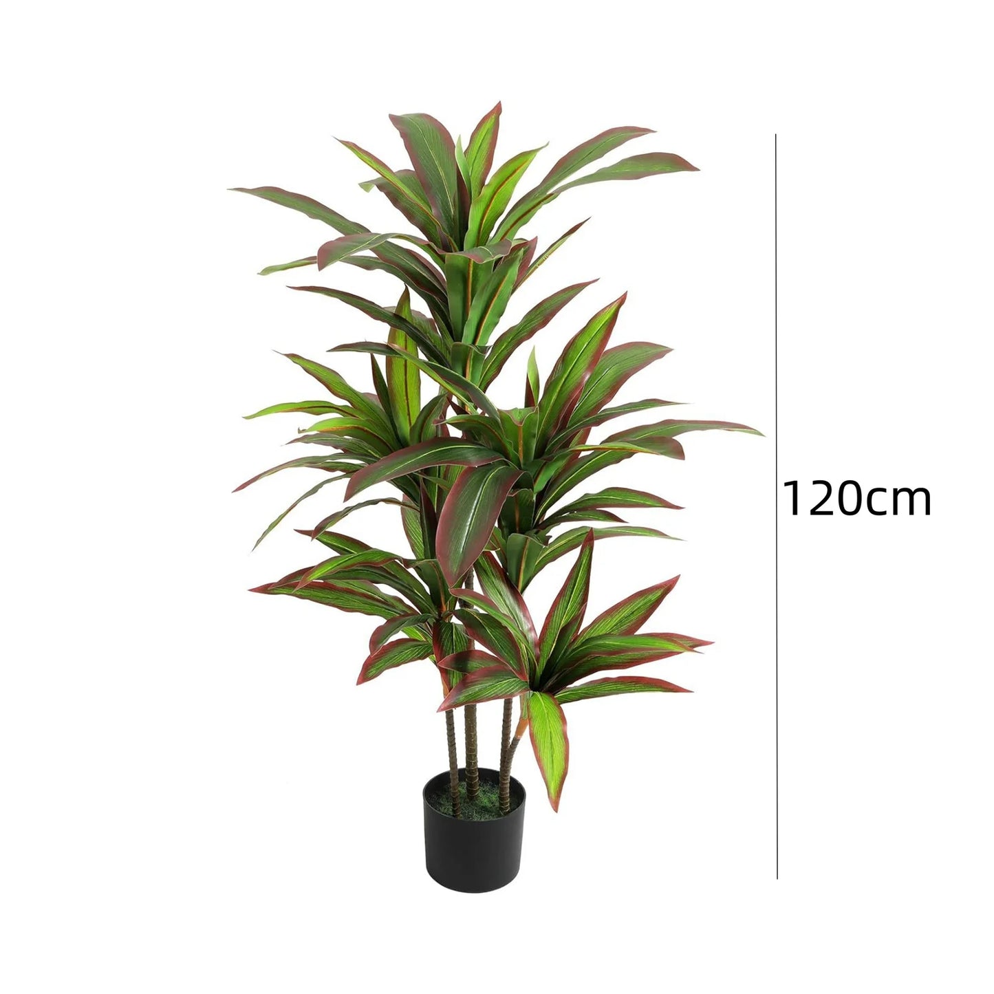 Nevara Evergreen Luxe™ – 1.2 m / 1.5 m Artificial Indoor Dracaena Plan