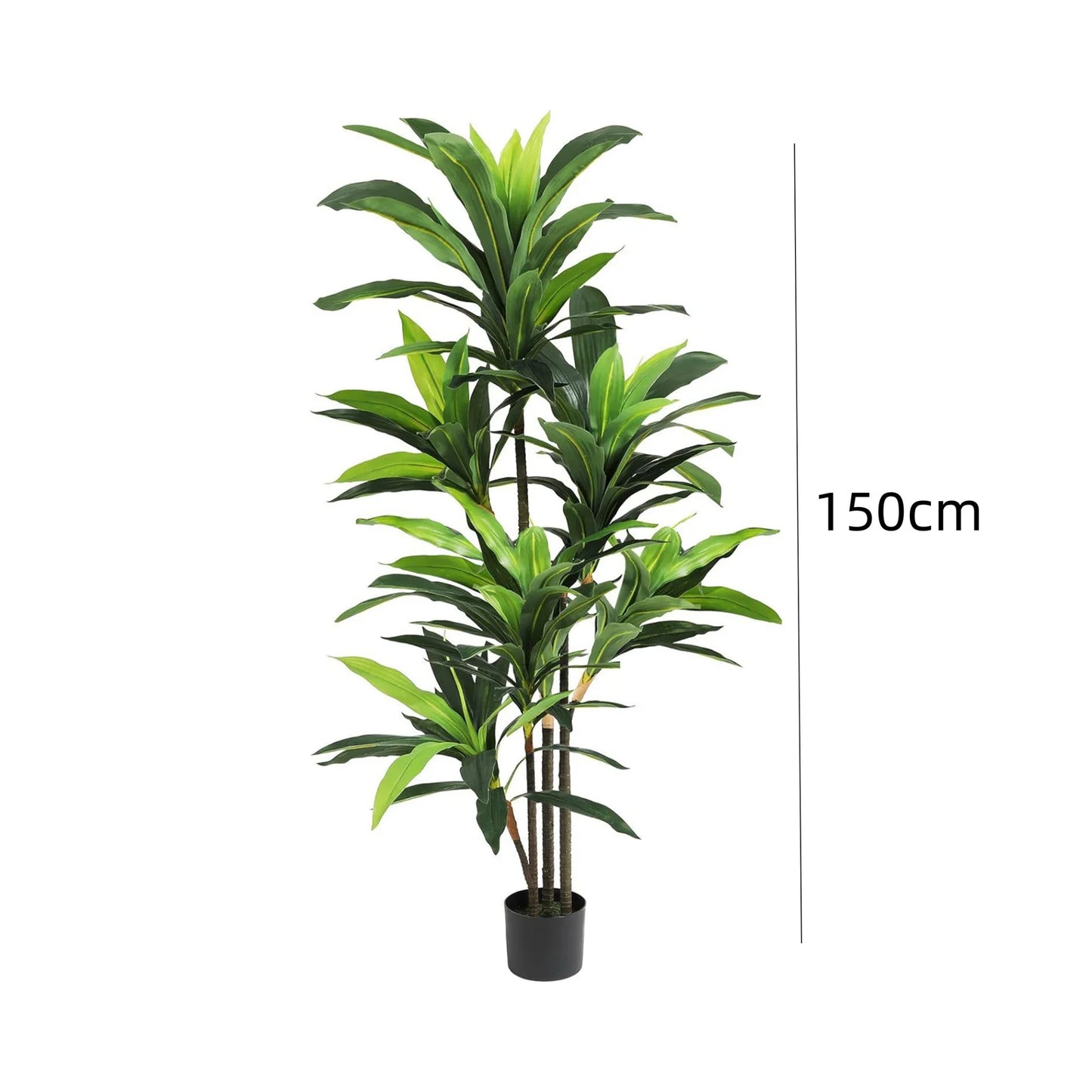 Nevara Evergreen Luxe™ – 1.2 m / 1.5 m Artificial Indoor Dracaena Plan