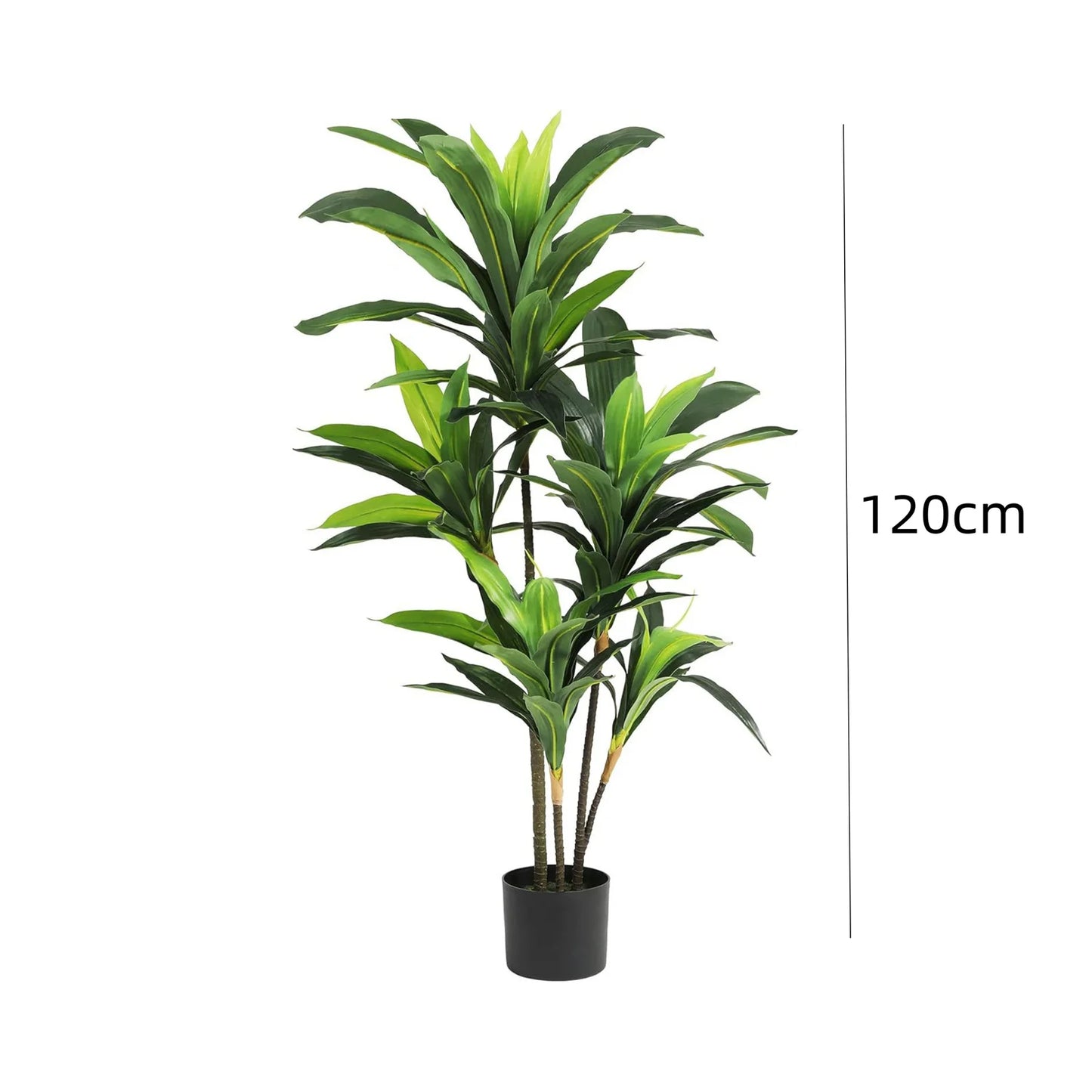 Nevara Evergreen Luxe™ – 1.2 m / 1.5 m Artificial Indoor Dracaena Plan