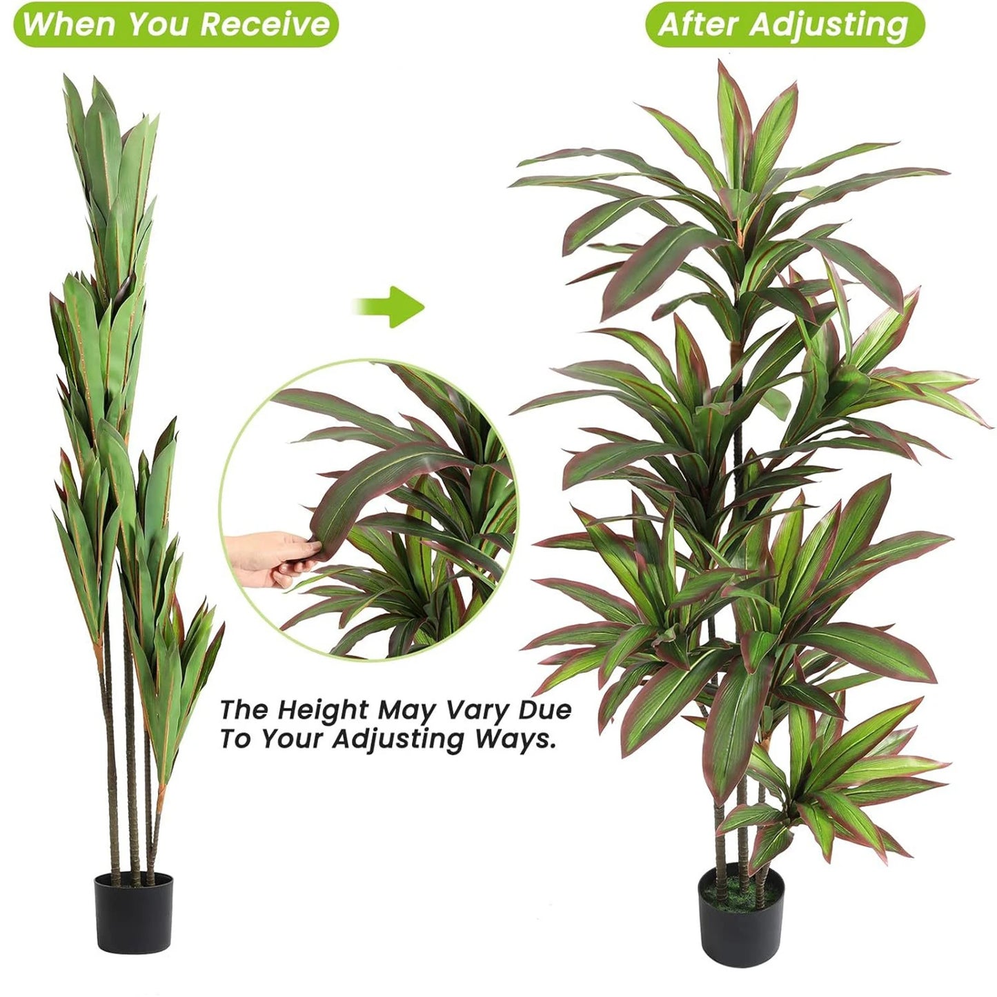 Nevara Evergreen Luxe™ – 1.2 m / 1.5 m Artificial Indoor Dracaena Plan