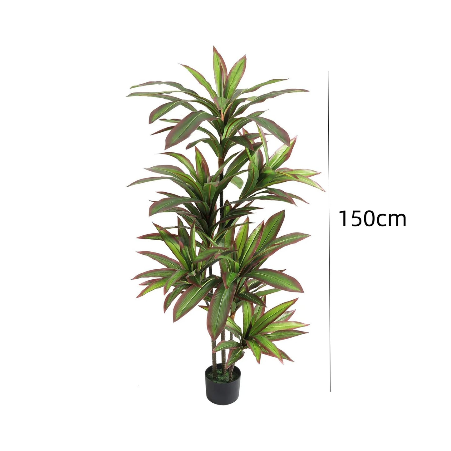 Nevara Evergreen Luxe™ – 1.2 m / 1.5 m Artificial Indoor Dracaena Plan