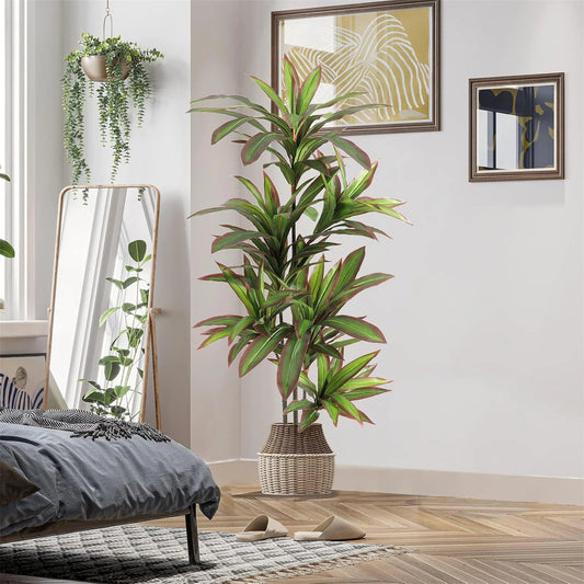Nevara Evergreen Luxe™ – 1.2 m / 1.5 m Artificial Indoor Dracaena Plan