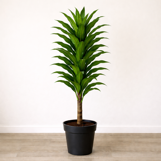 Nevara Evergreen Luxe™ Duo Bundle