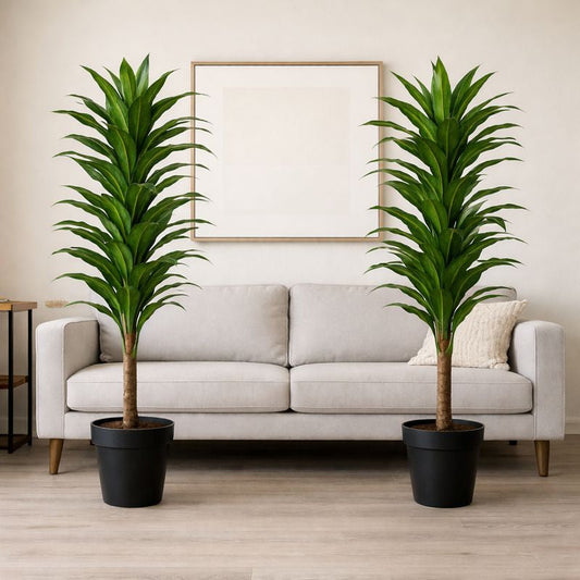 Nevara Evergreen Luxe™ Duo Bundle